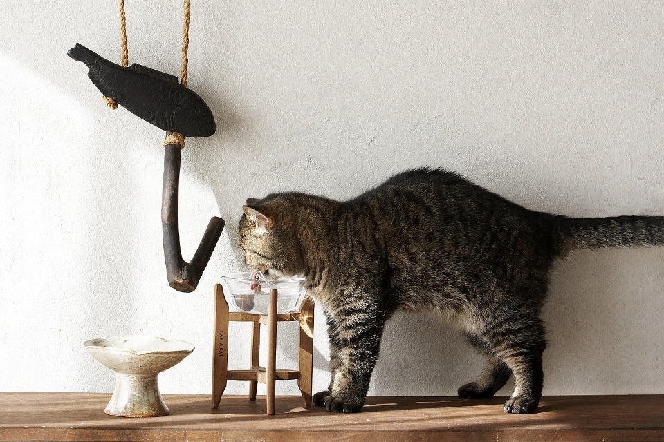 I AM A CAT ごはんのうつわ＆ガラスボウルとヴィンテージ糸巻きのＳＥＴ Restock】ガラスボウルとヴィンテージ糸巻き再入荷！ – iamacatjp