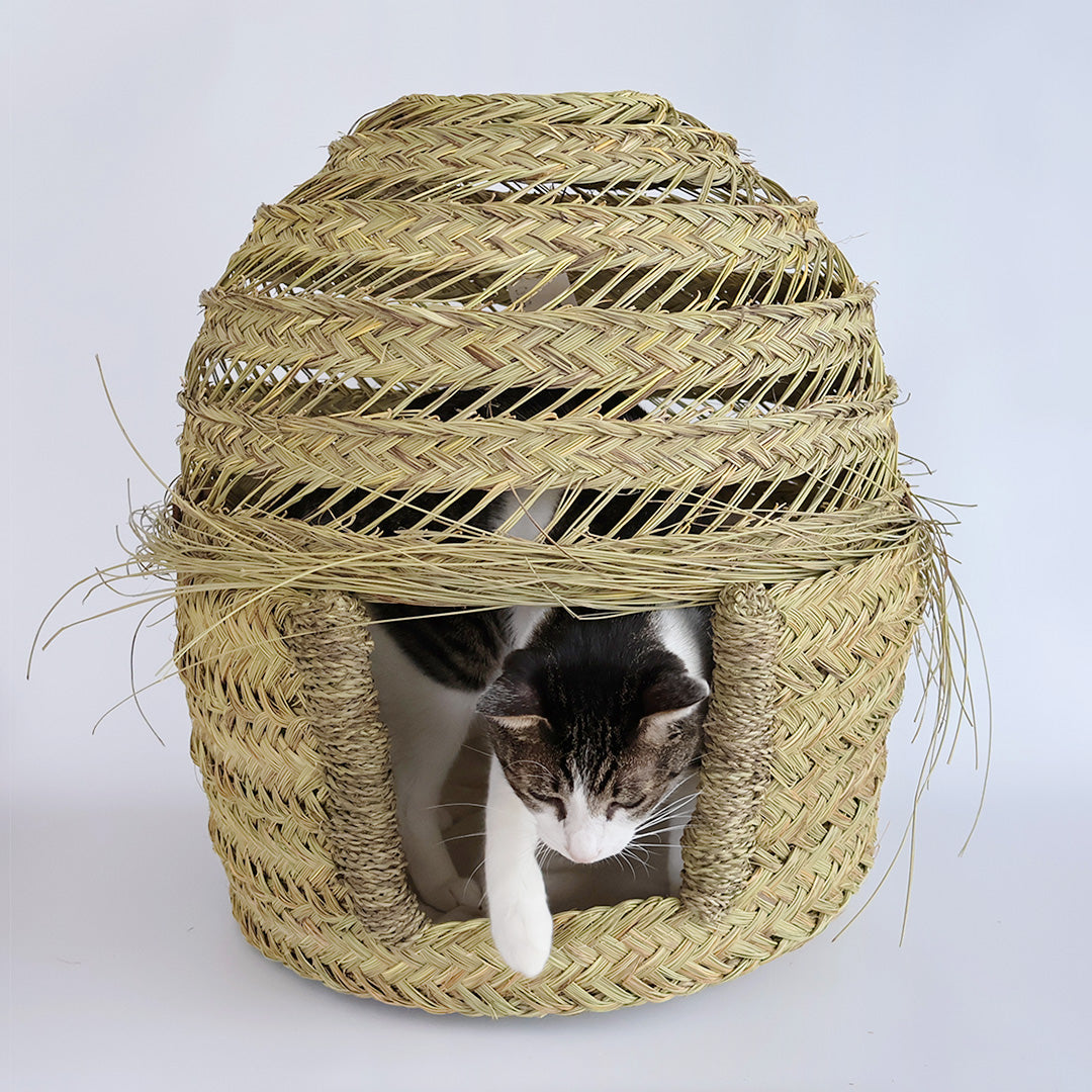 こちらは丸みのあるラウンド型の屋根デザインです