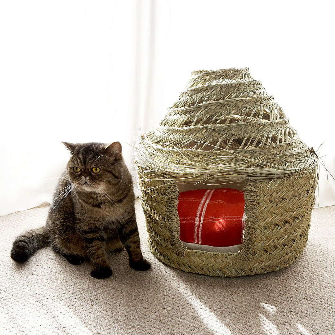 クッションで印象が変わります