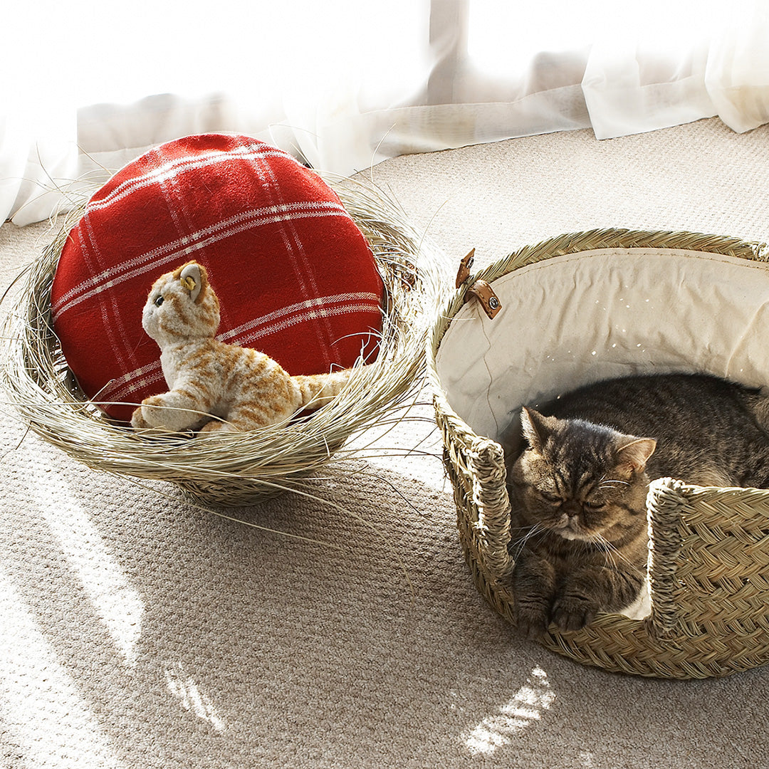 左右の革のスナップで屋根が取り外せます