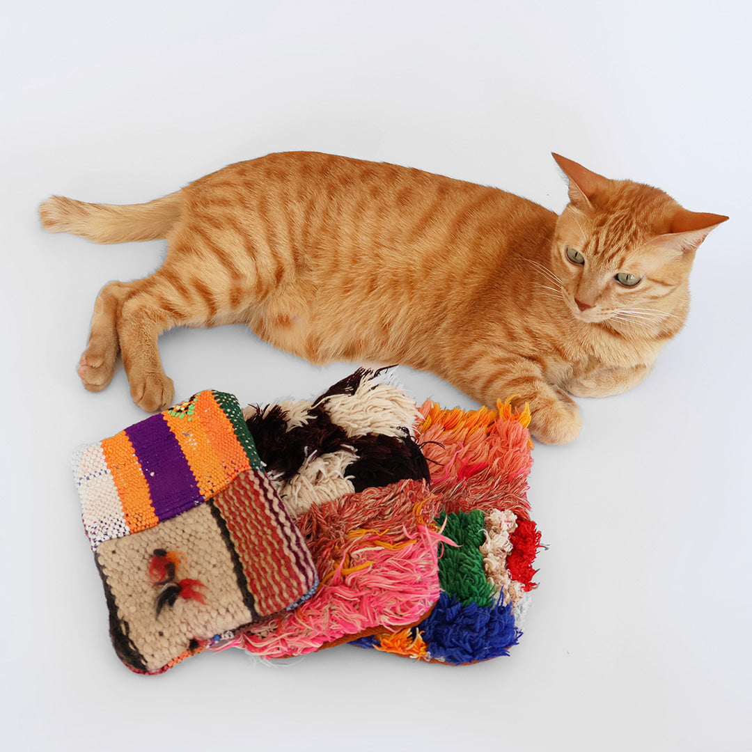 モロッコらしさ満点のキャットピロー!