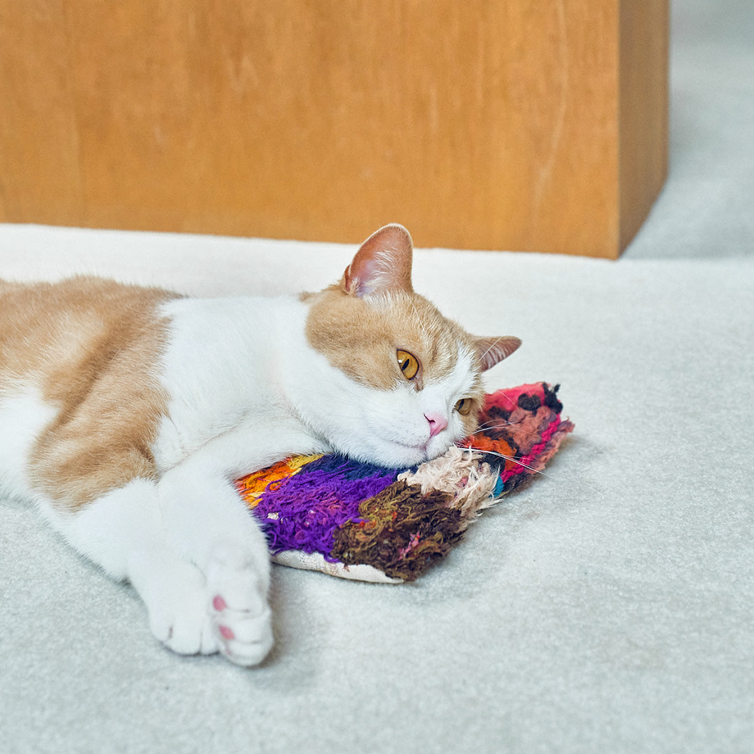 枕はもちろん、けりぐるみとしても!