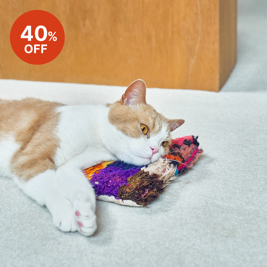 キャットピローの新作が登場!