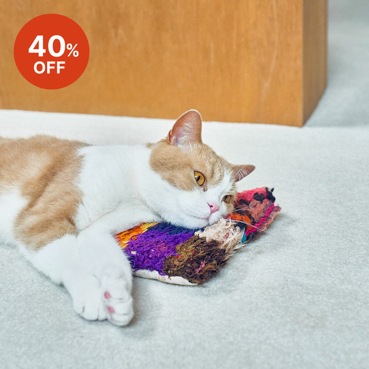 キャットピローの新作が登場!