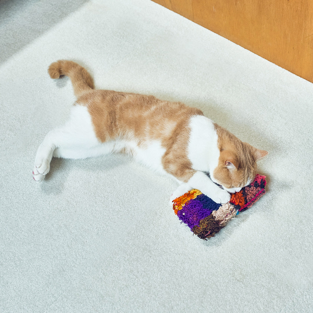 猫ちゃんも興味津々!