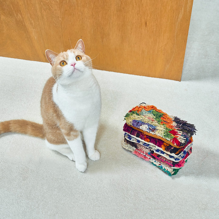 キャットピローの新作が新登場!