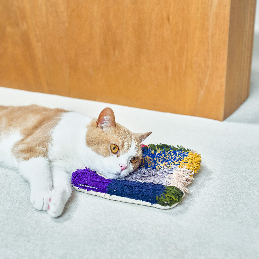 珍しいスクエア型のキャットピロー