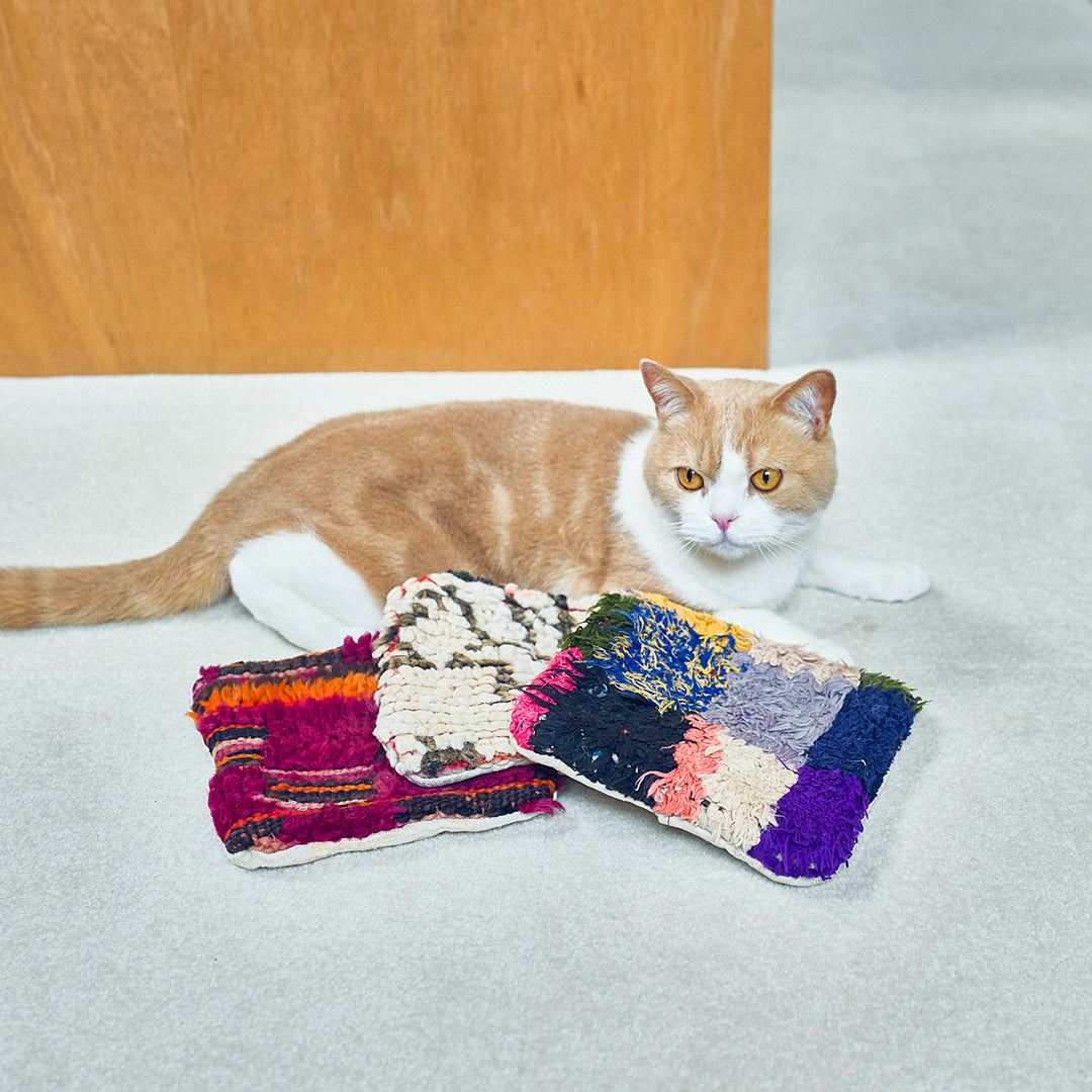 猫ちゃんサイズのクッションとしても♡