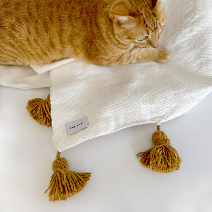 小さめで使いやすいサイズです