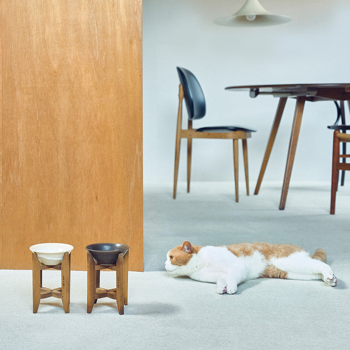 金沢のごはんのうつわとヴィンテージ糸巻き(白鳳)