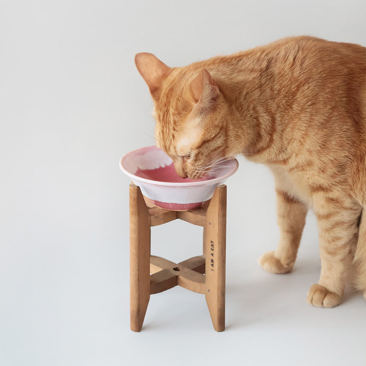 金沢のごはんのうつわとヴィンテージ糸巻き(桃)