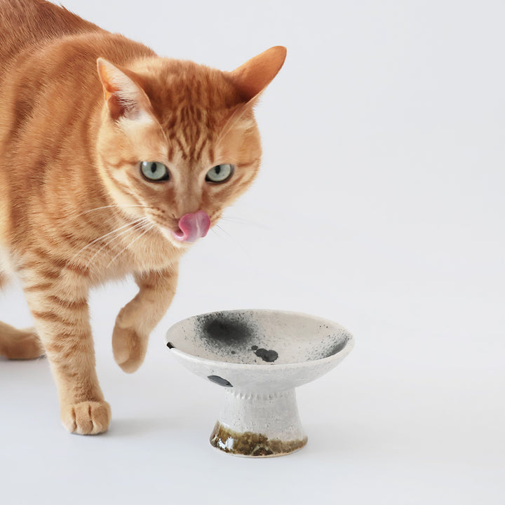 三浦のごはんのうつわ(伊賀土/黒斑紋吹付け)