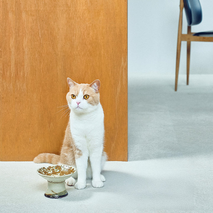 三浦のごはんのうつわ(お花の型 刷毛模様)