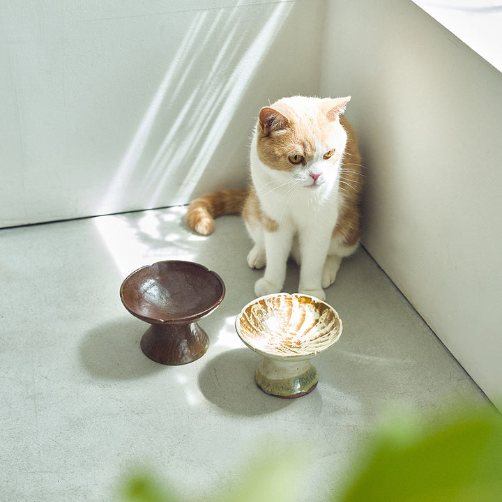 三浦のごはんのうつわ(お花の型 刷毛模様)