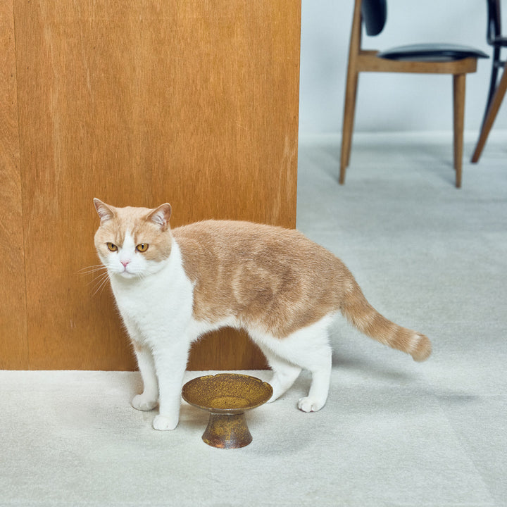 三浦のごはんのうつわ(お花の型 伊羅保)