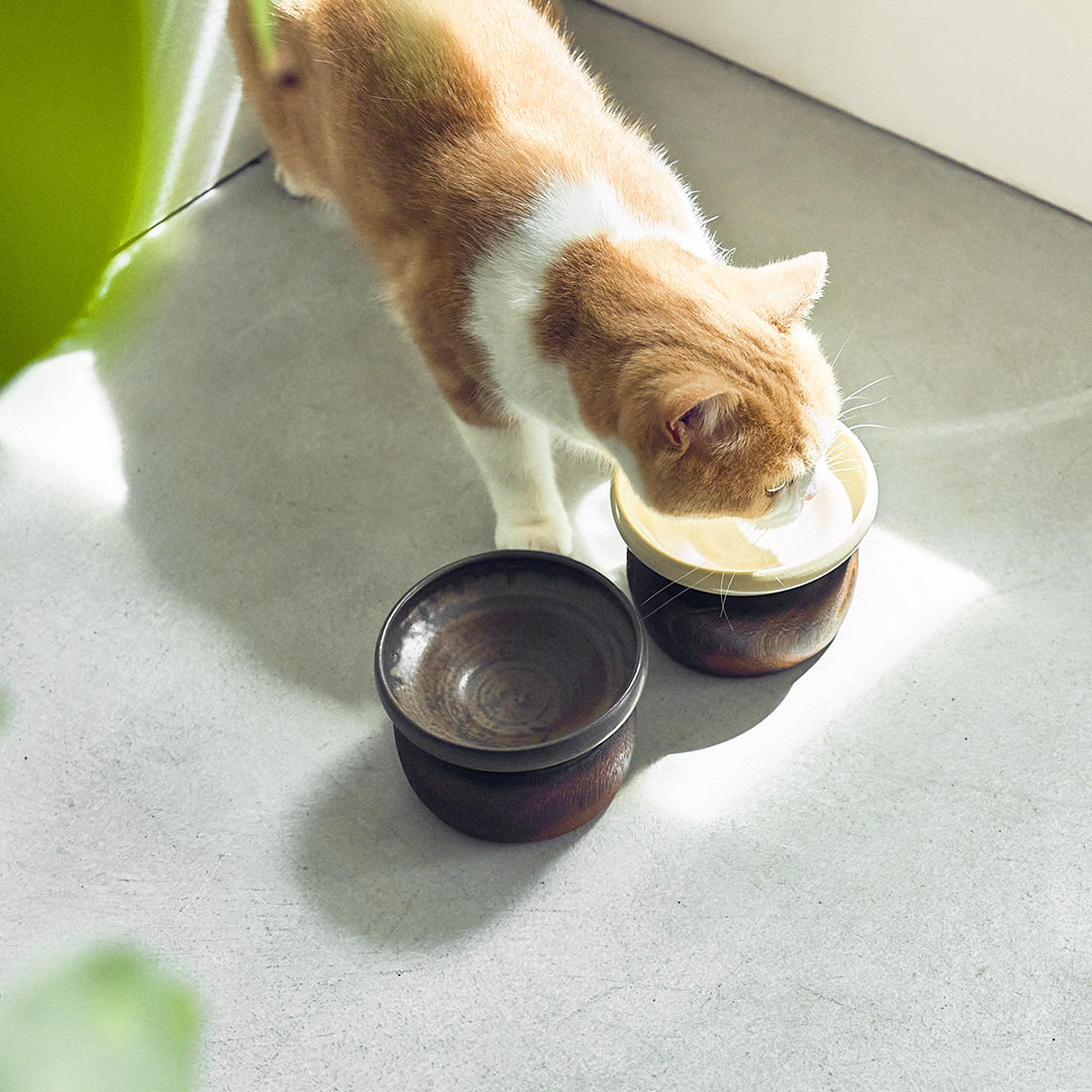 金沢桐鉢とごはんのうつわ (白鳳・瀬戸黒) – iamacatjp