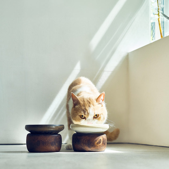 金沢桐鉢とごはんのうつわ (白鳳・瀬戸黒)