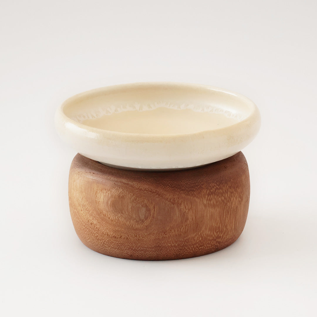 桐鉢:ライトブラウン うつわ:白鳳