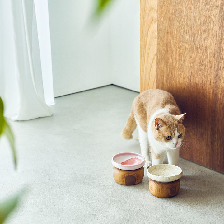 金沢桐鉢とごはんのうつわ (桃・うずら)