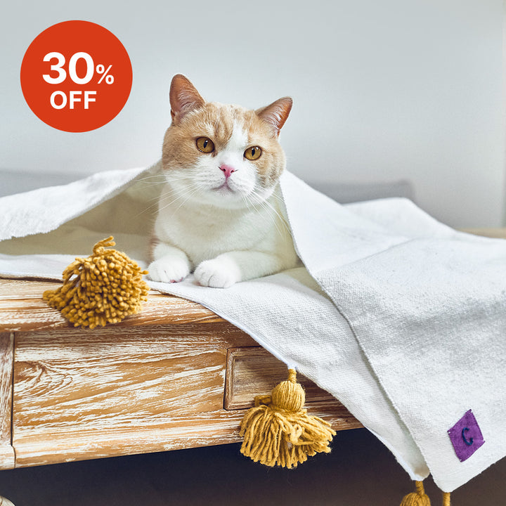 モロッコ キャットサイズポンポンブランケット