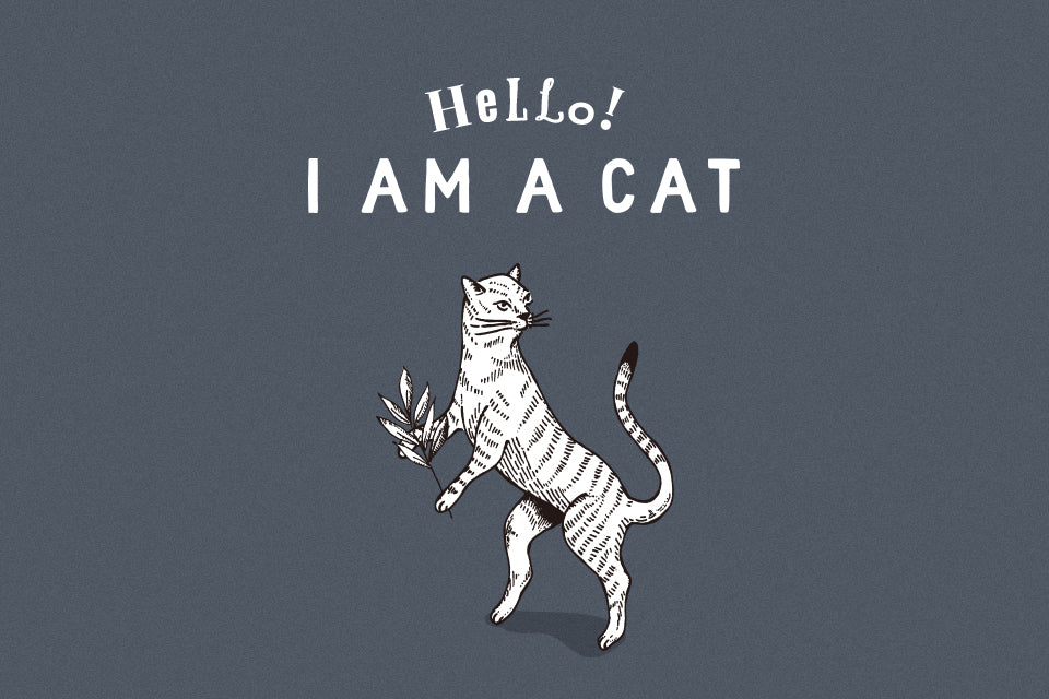 I AM A CAT オンラインショップサイトを公開いたしました。