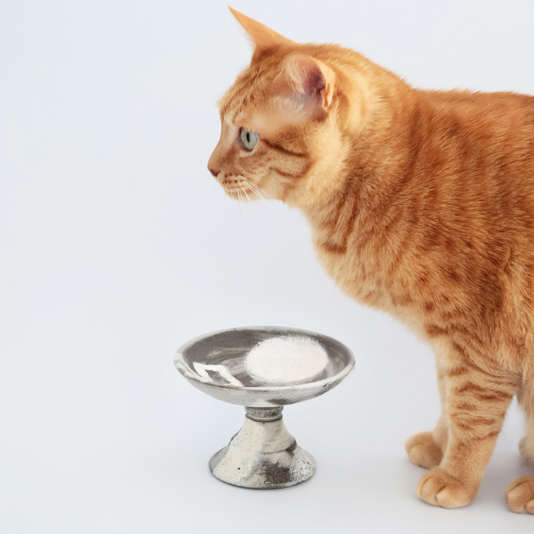 ALL ITEM – iamacatjp