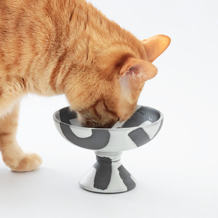 New ねこのごはんのコンポート