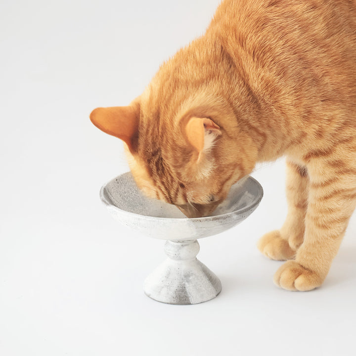 ねこのごはんのコンポート