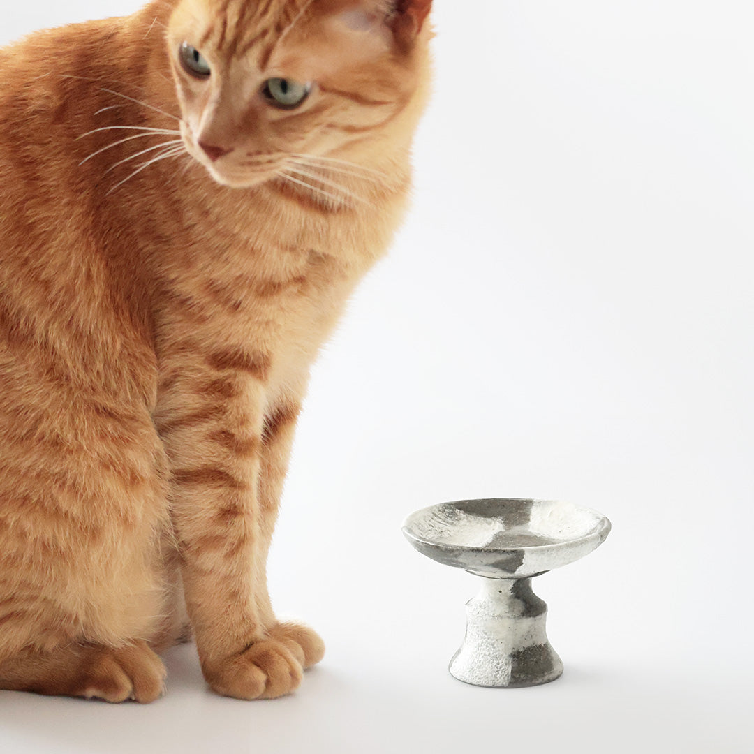 デザインの違いをお楽しみください