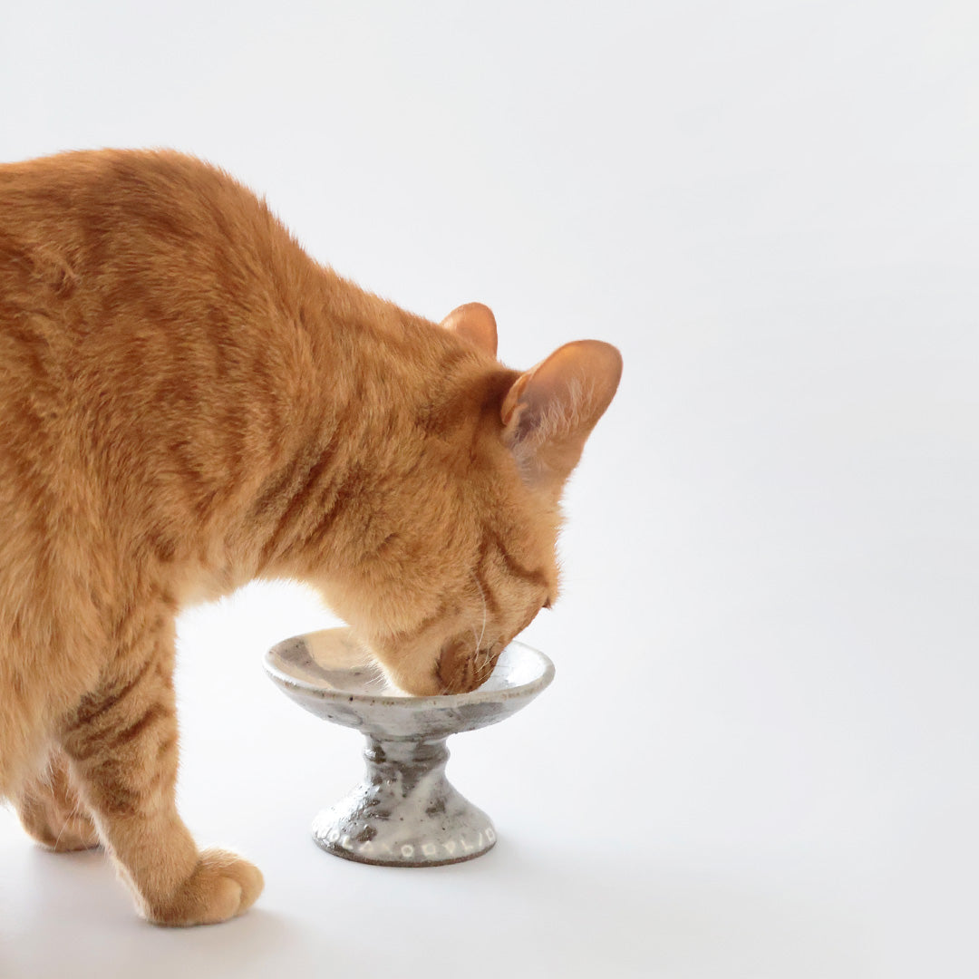 大好評のおやつのうつわが再登場！