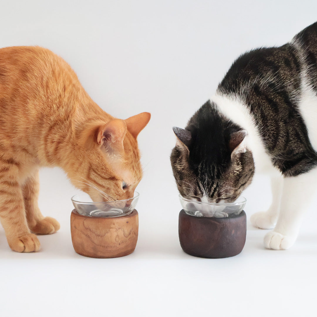 ALL ITEM – iamacatjp